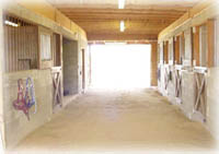 Inside the barn