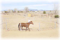 round pen