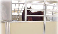 shed row, image 2